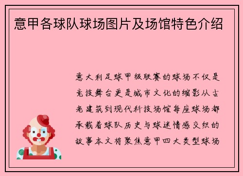 意甲各球队球场图片及场馆特色介绍